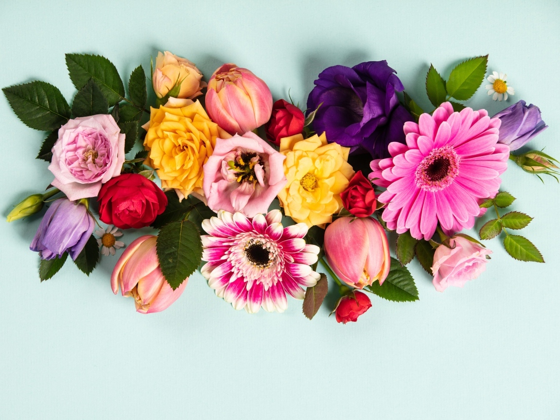 Композиция из разных цветов на сером фоне