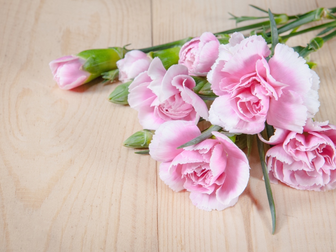 Розовые гвоздики на столе