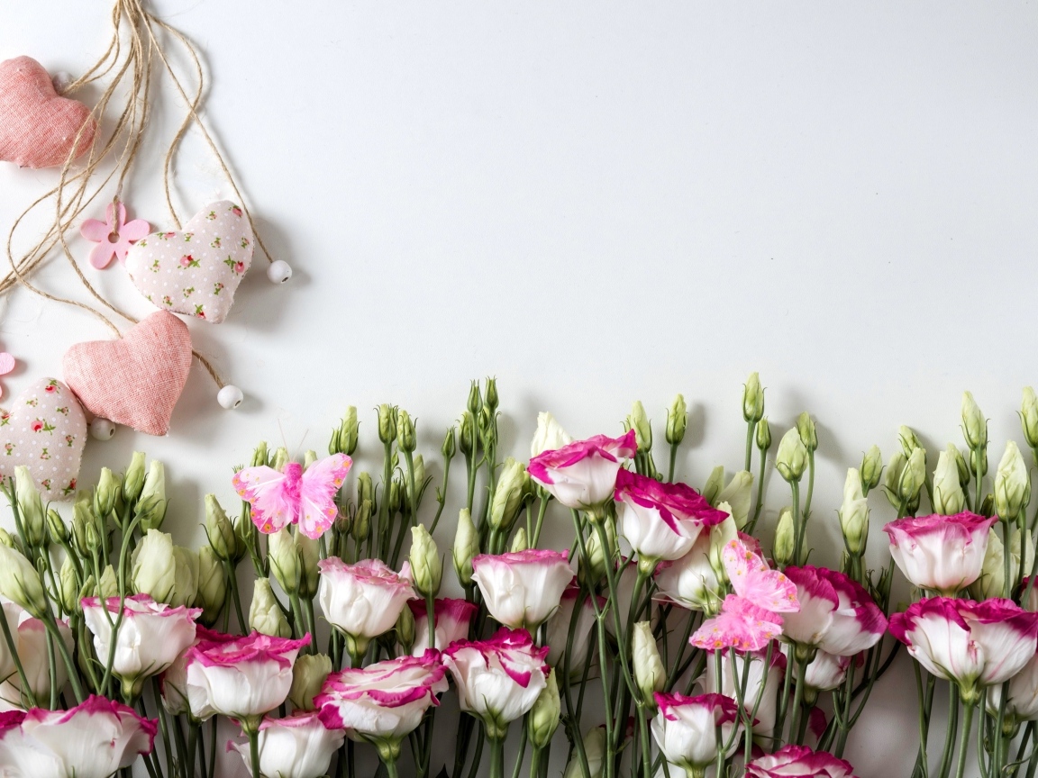 Розовые цветы эустомы с сердечками на сером фоне