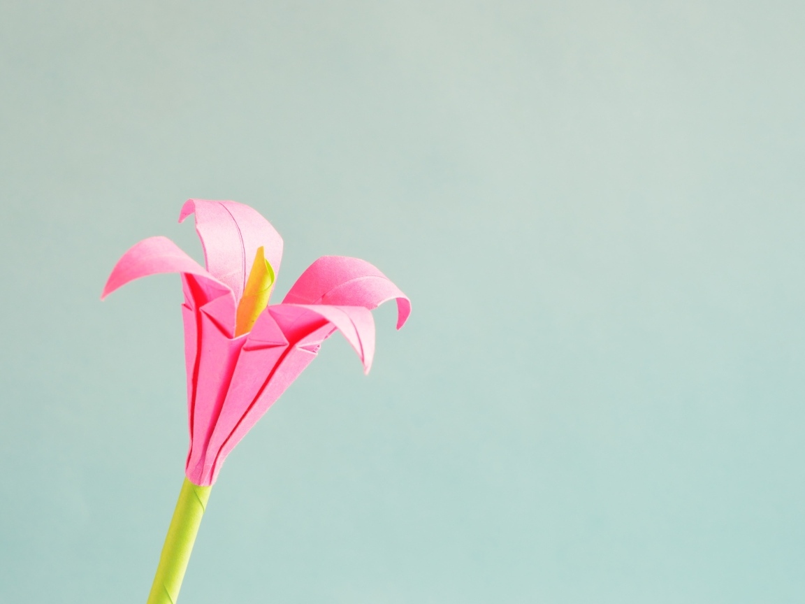 Розовый бумажный цветок на сером фоне