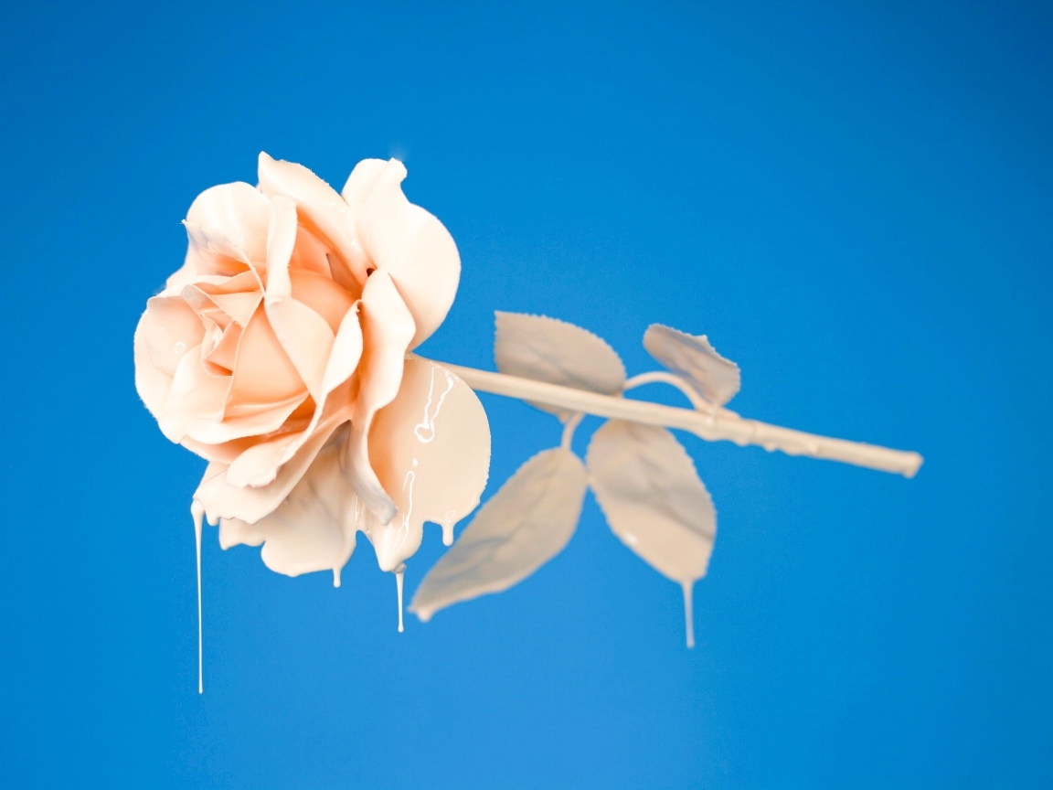 Розовая роза в краске на голубом фоне