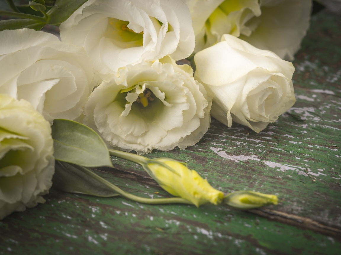 Белые розы и цветы эустомы на столе