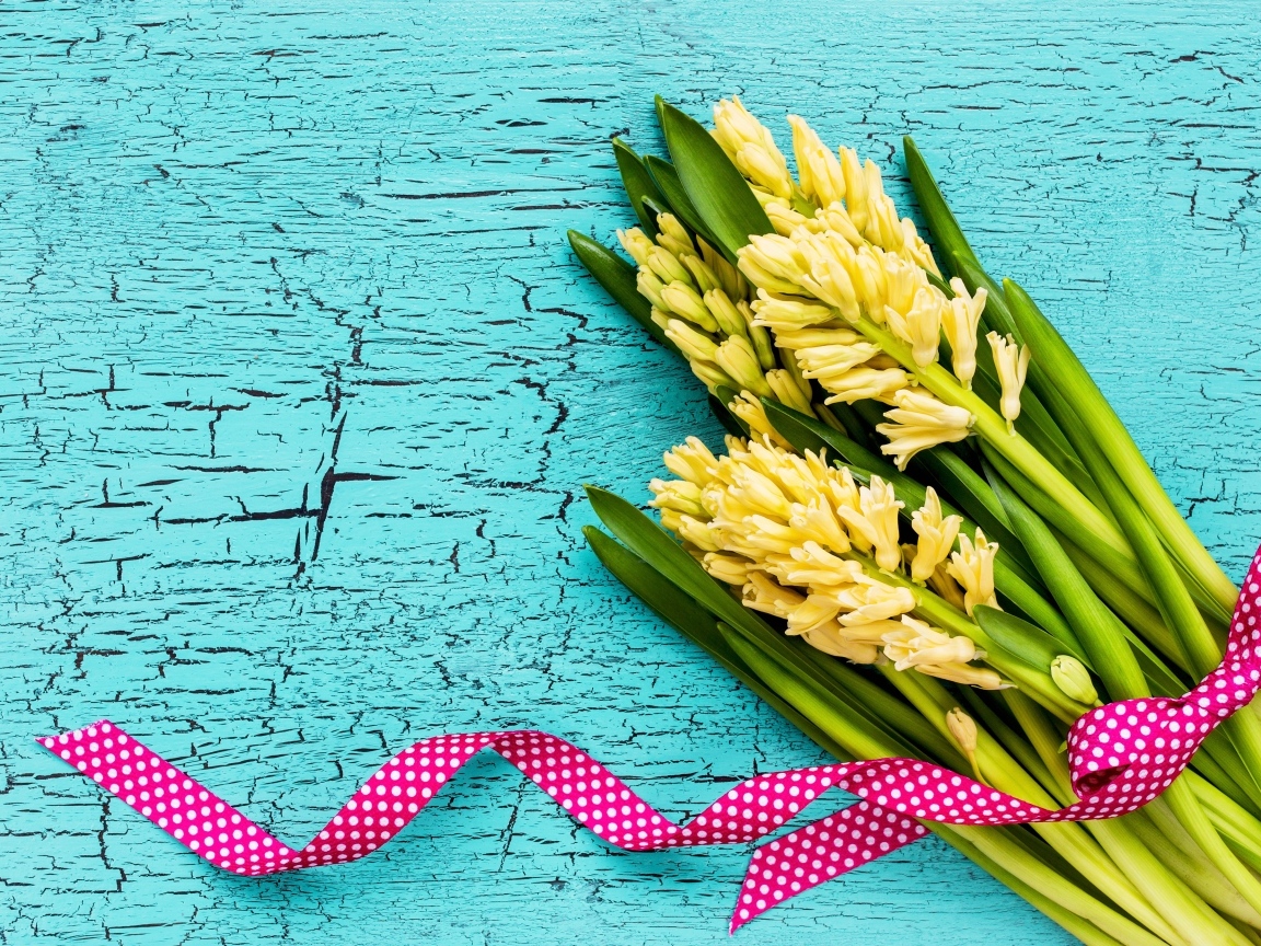 Желтые гиацинты с лентой на голубом фоне