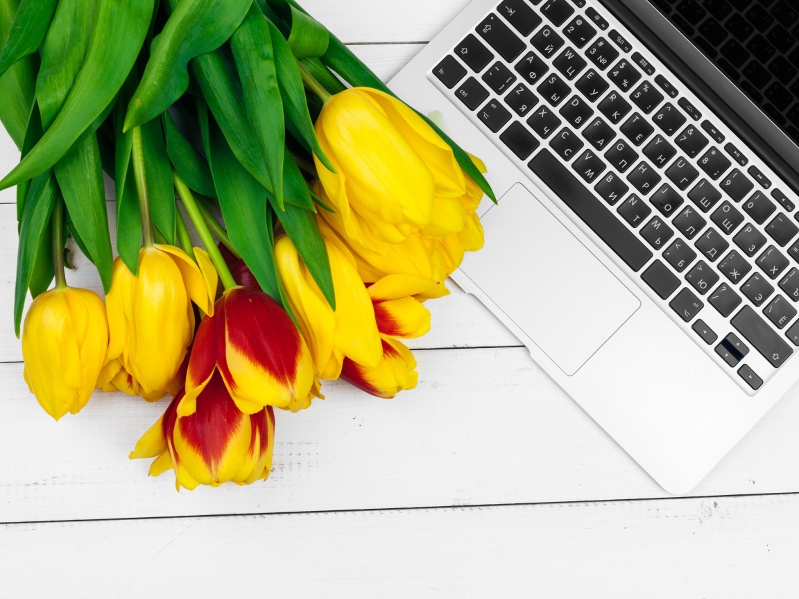 Желтые тюльпаны с ноутбуком на столе