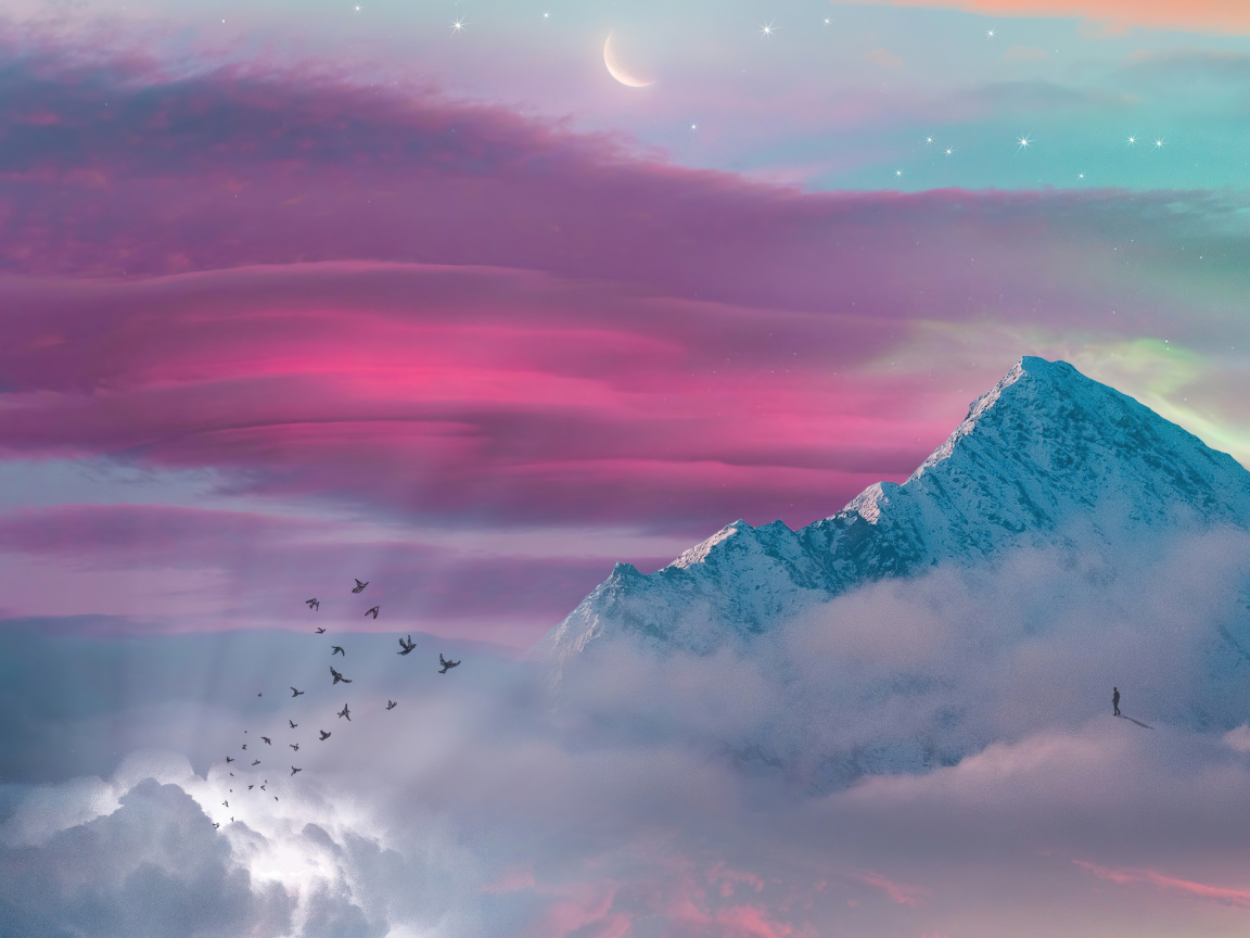 Птицы летят к заснеженной вершине горы