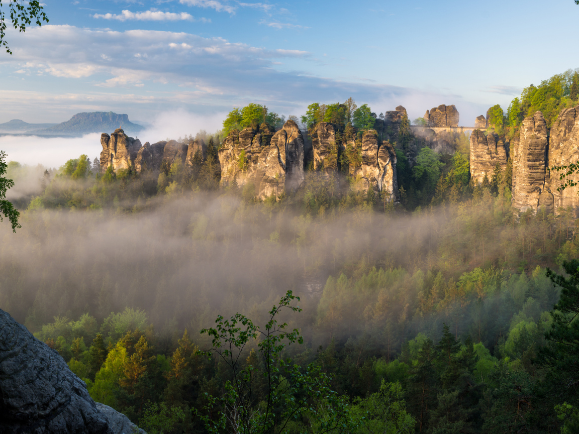 Туман над лесом в горном ущелье