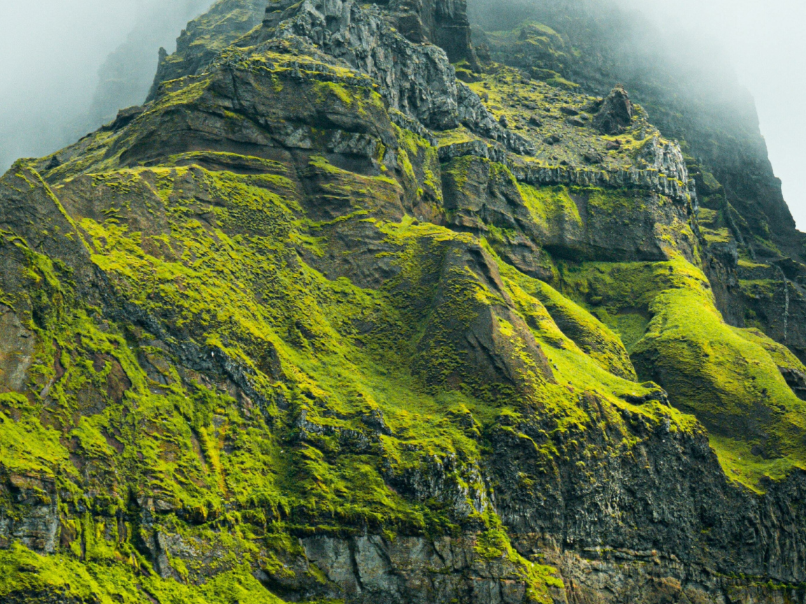 Высокая гора покрыта зеленой растительностью