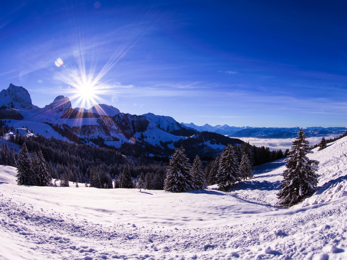 Яркое солнце освещает заснеженные альпы