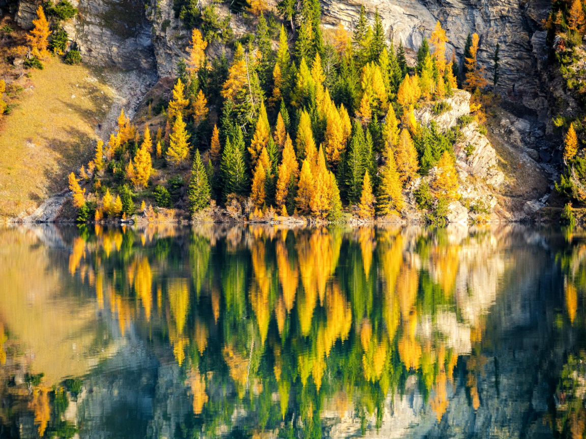 Деревья на краю горы отражаются в воде