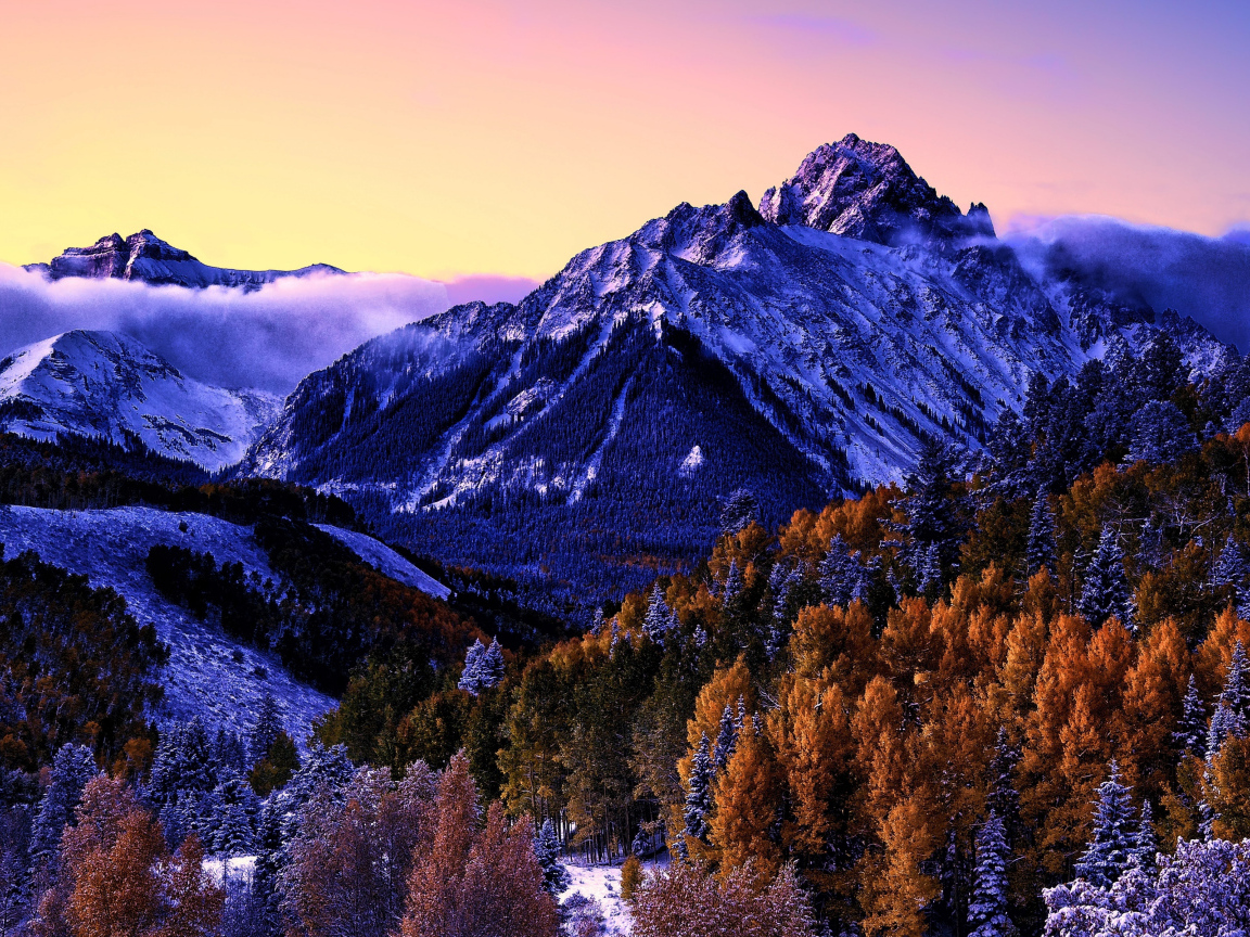 Вид на заснеженную гору и лес