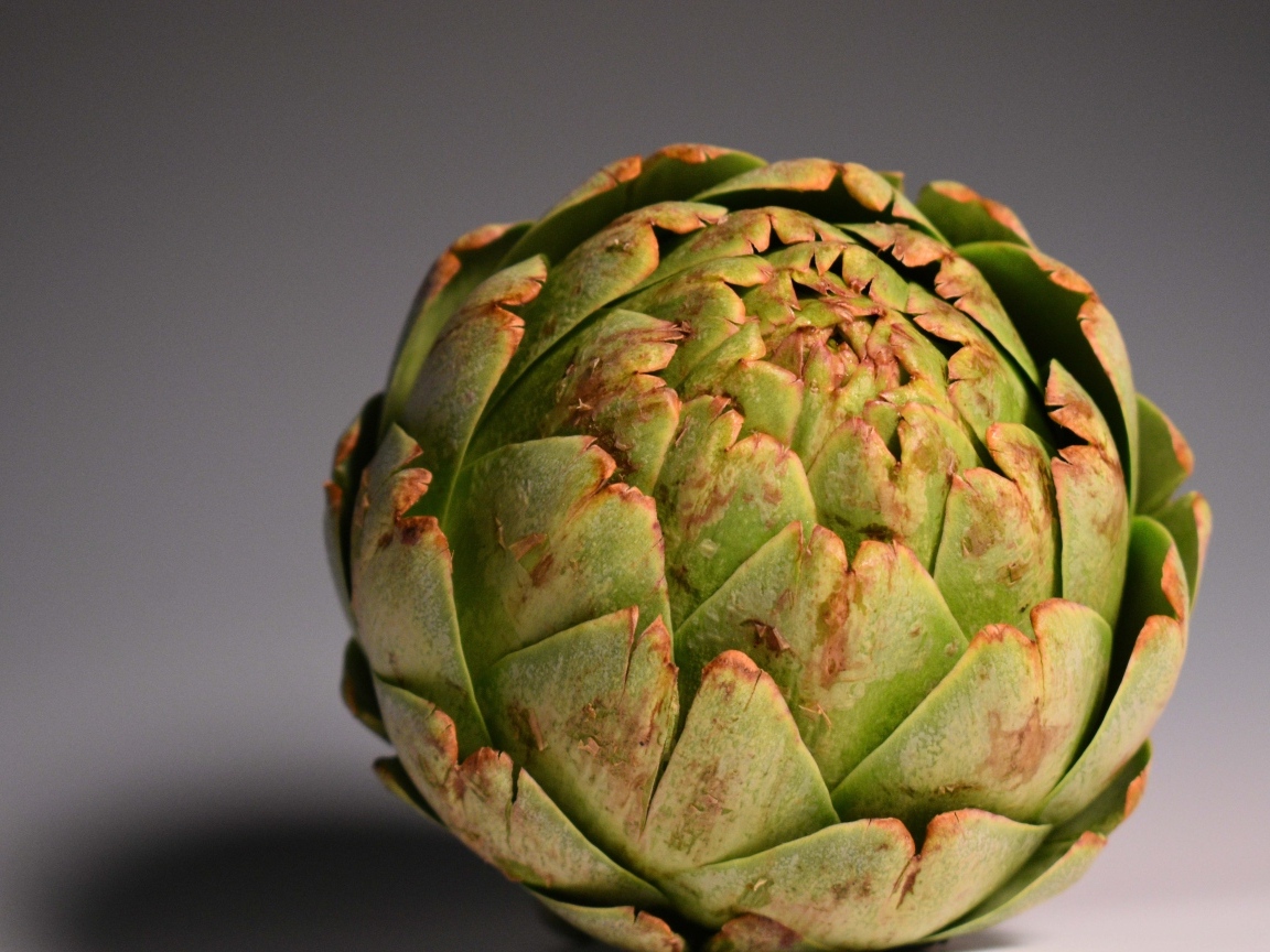 Большой зеленый артишок на сером фоне