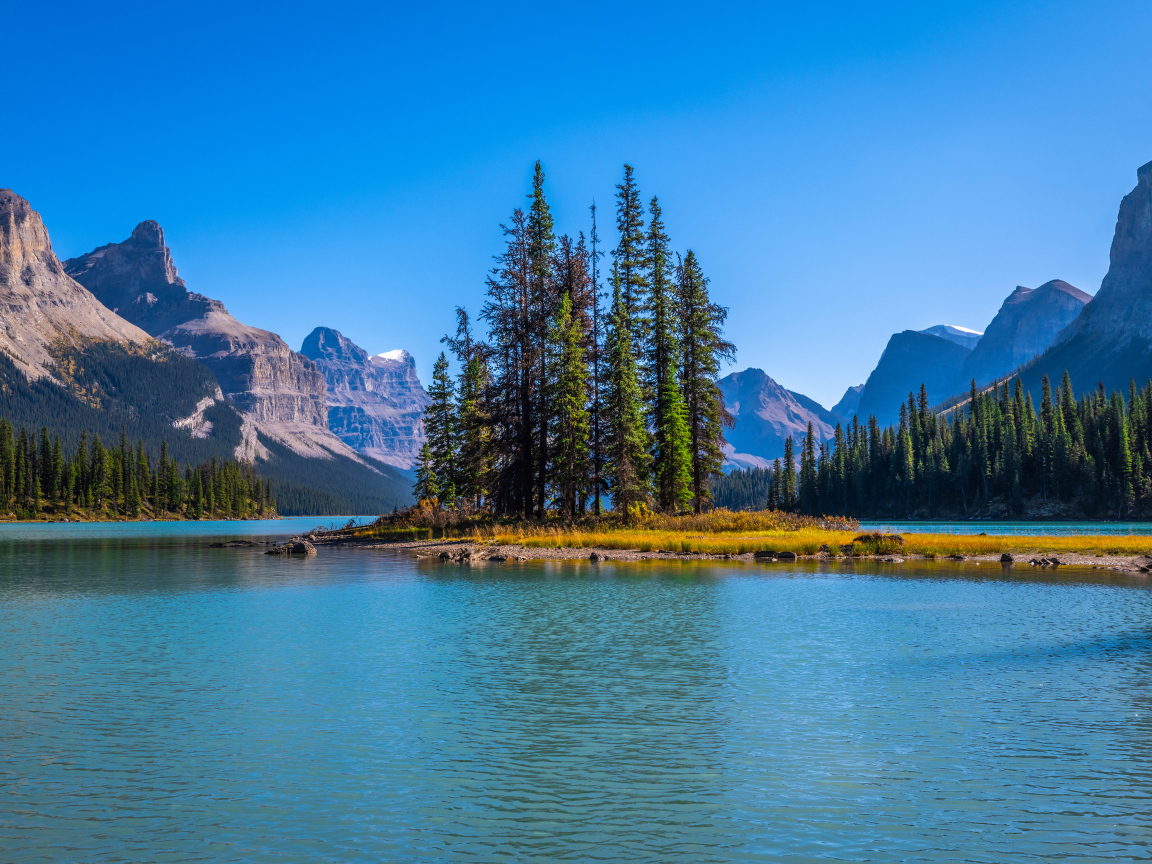 Остров с высокими елями посреди горного озера