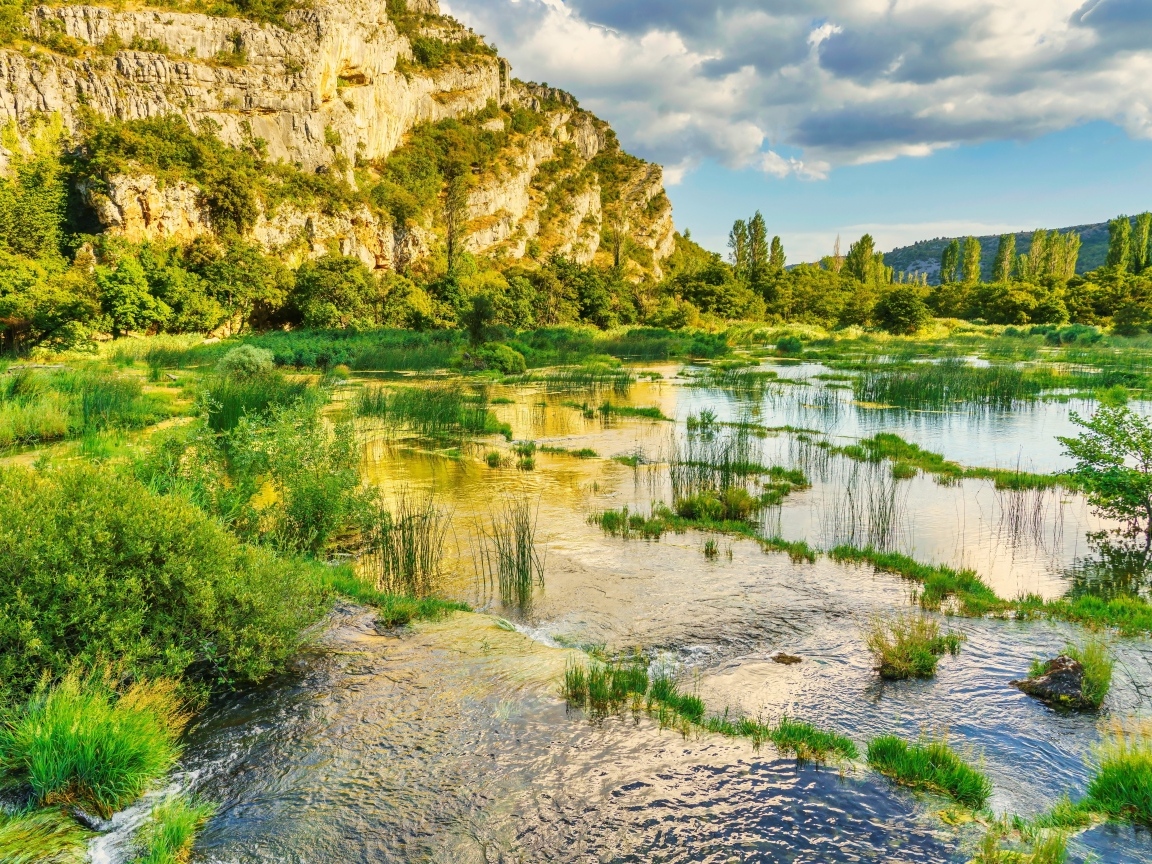 Река с зелеными растениями у горы