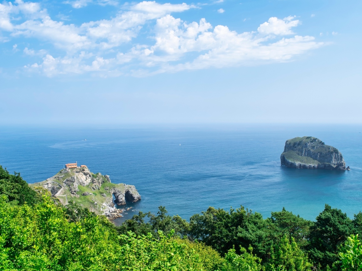 Красивый вид на море с покрытой деревьями горы