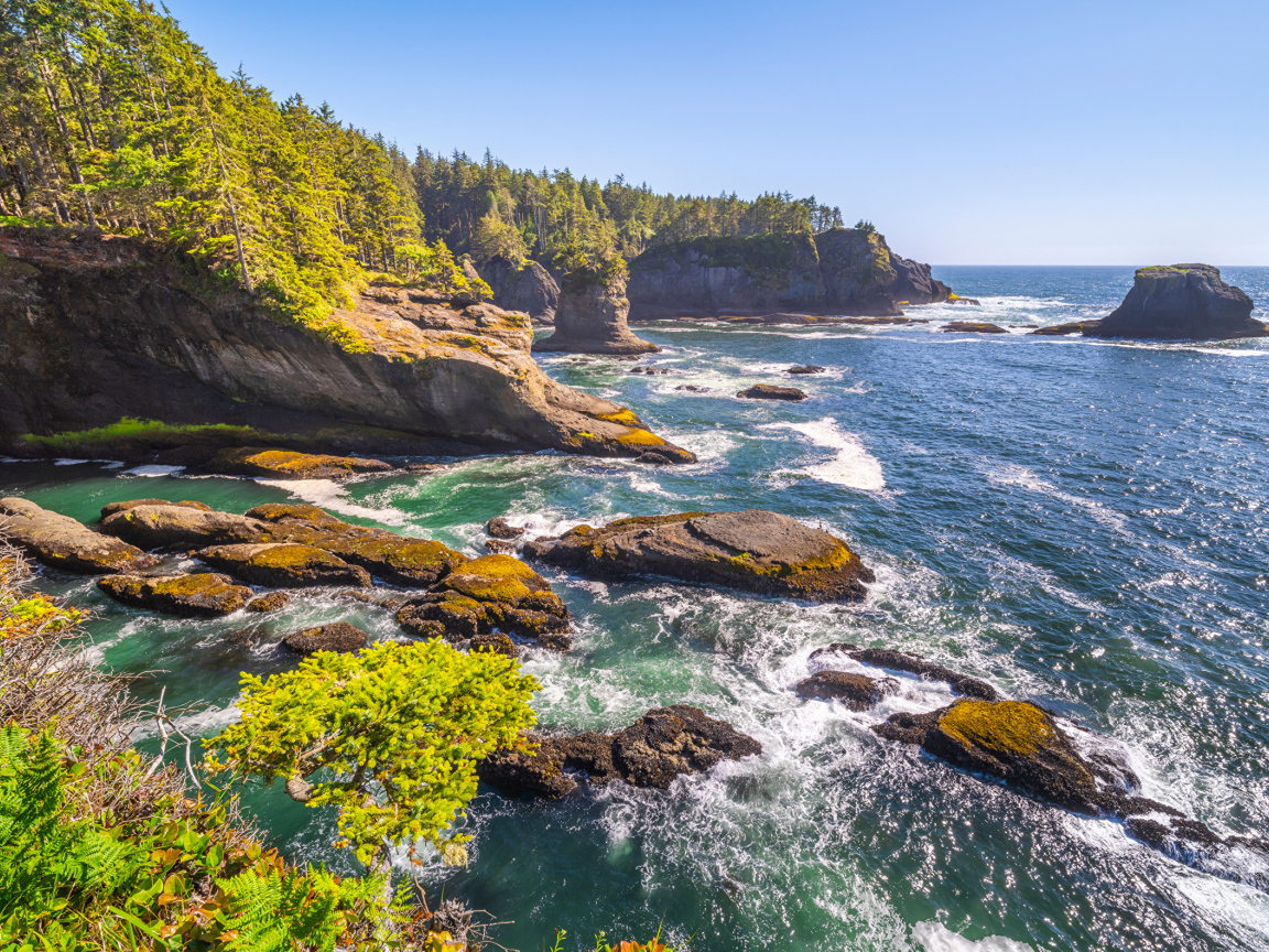 Много камней в воде у утеса