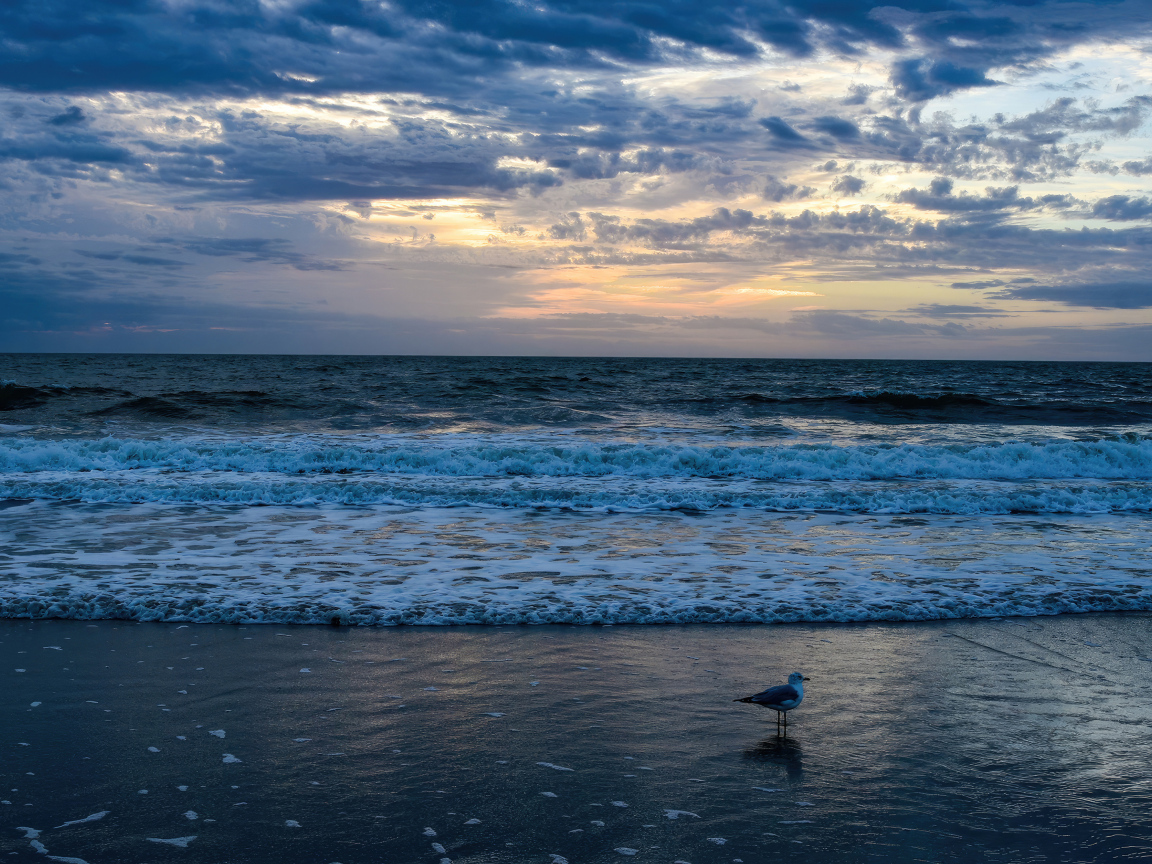 Белые волны окутывают берег моря на рассвете
