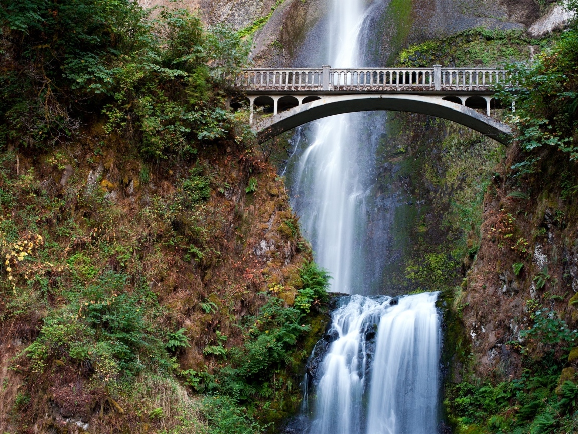 Красивый мост с водопадом в лесу