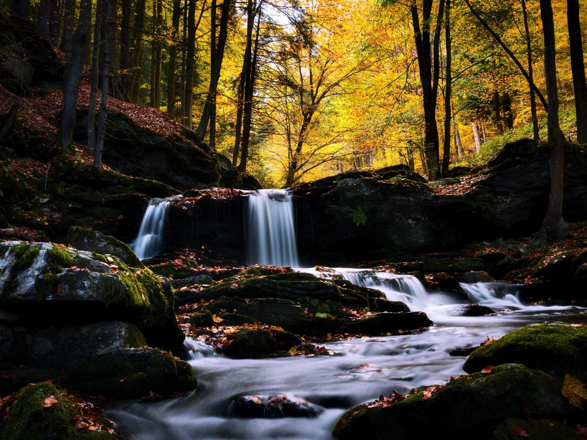 Лесной водопад стекает по камням в лесу