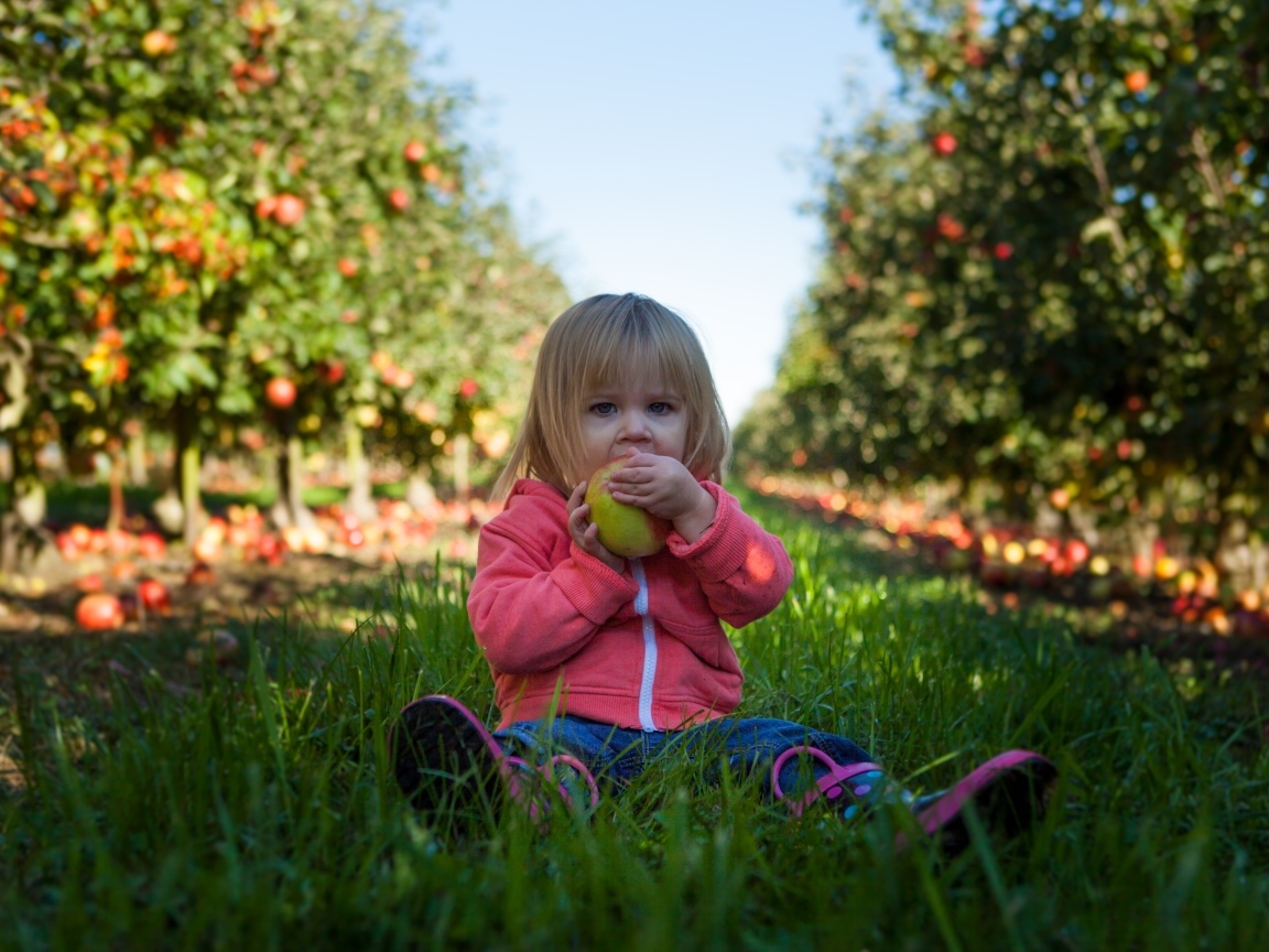 Маленькая девочка грызет яблоко в саду