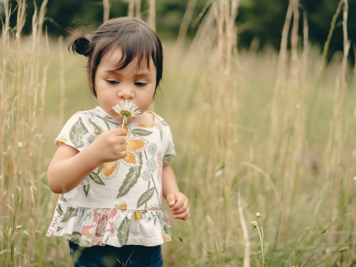 Маленькая девочка с ромашкой на поле