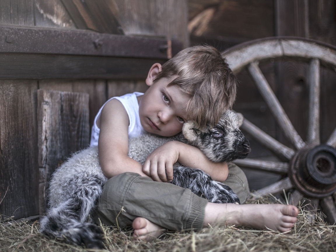 Маленький грустный мальчик обнимает ягненка