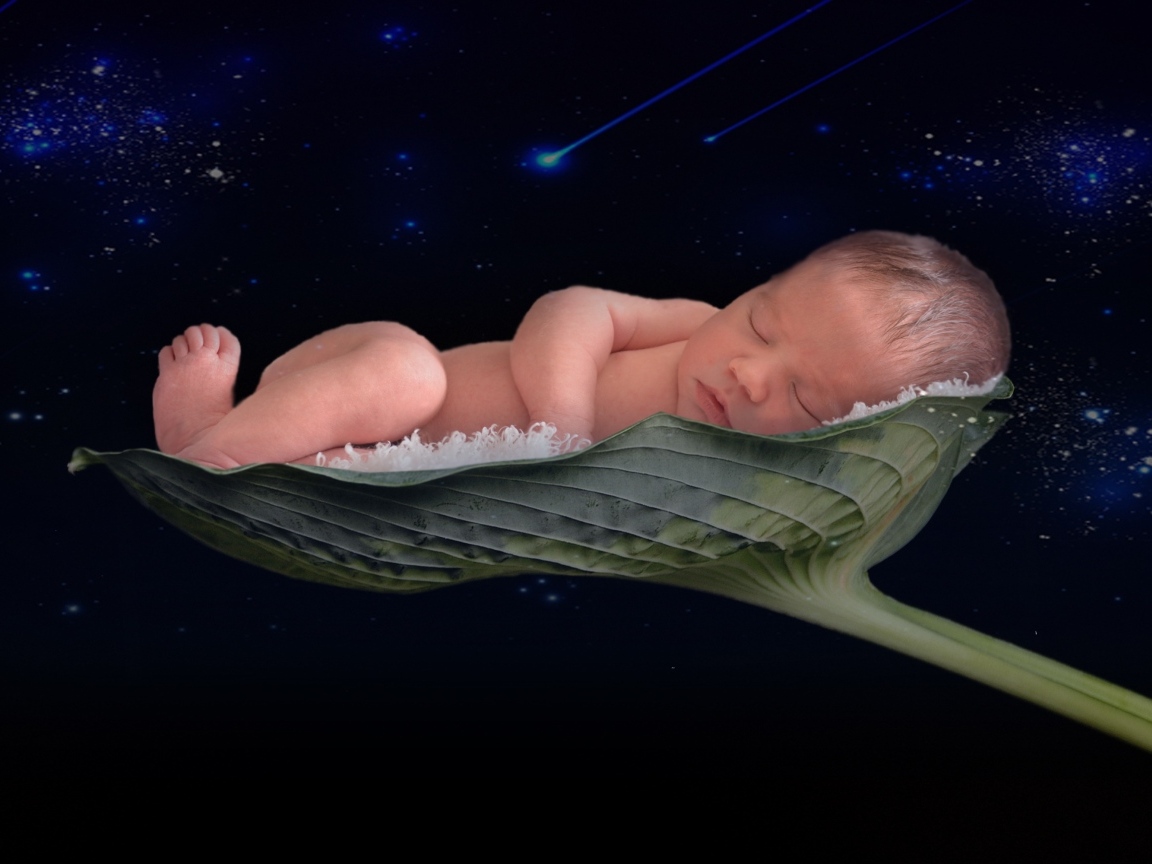 Новорожденный малыш спит на листе лотоса