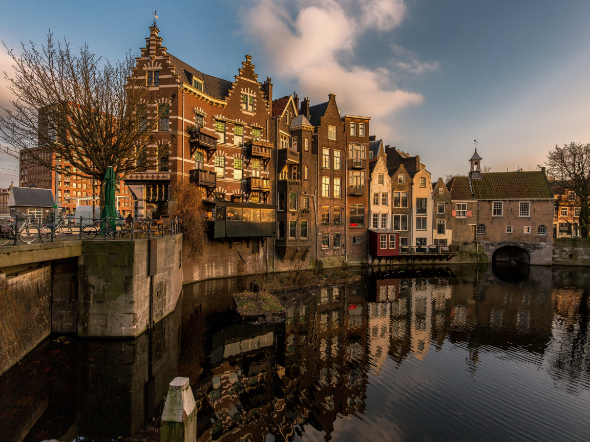 Дома стоят у водного канала, Роттердам, Голландия