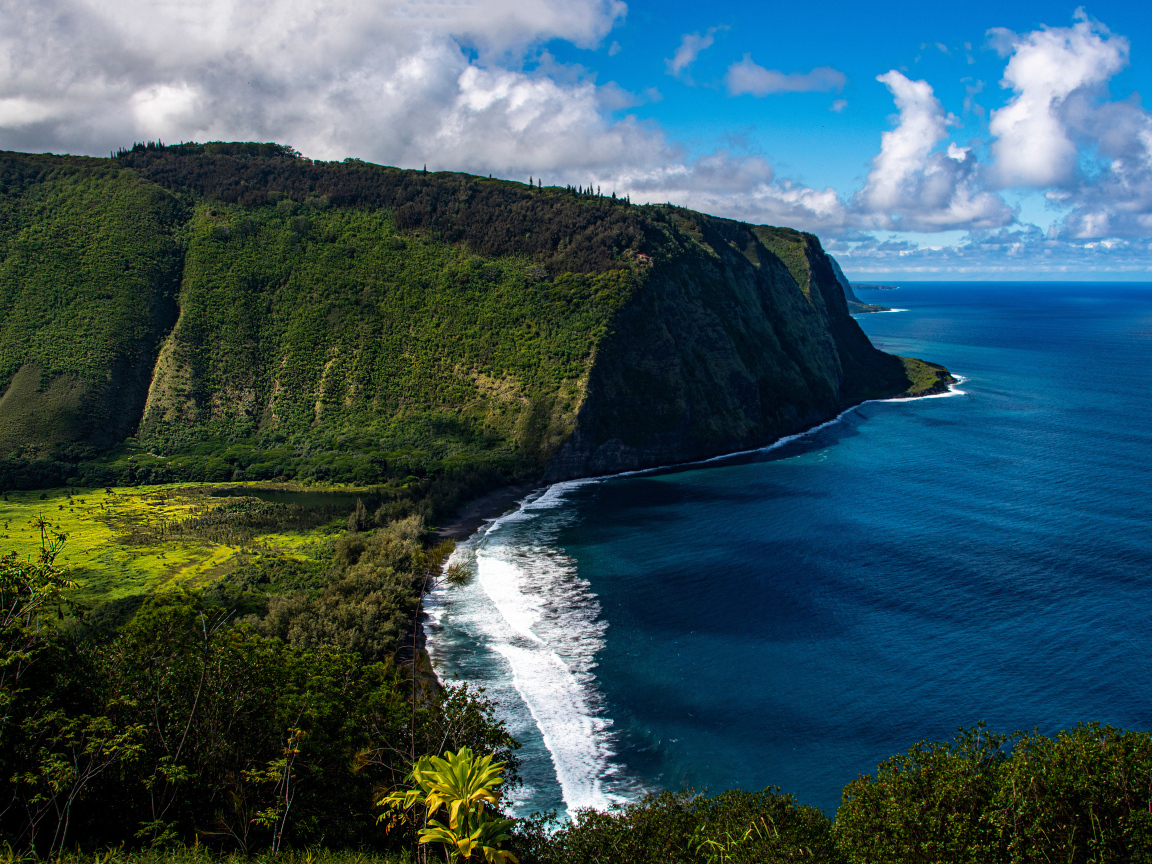 Утес у океана на острове Гавайи, США