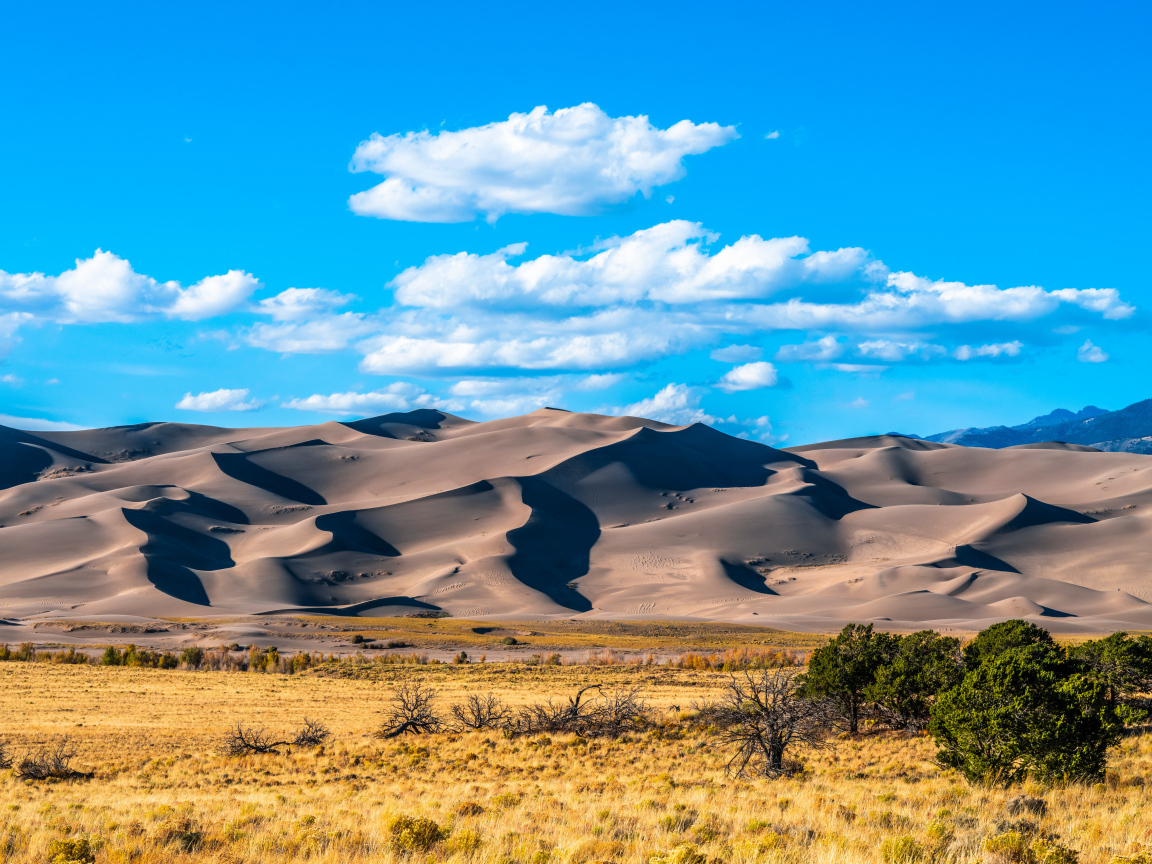 Песчаные бури национального парка Грейт-Санд-Дьюнс, США