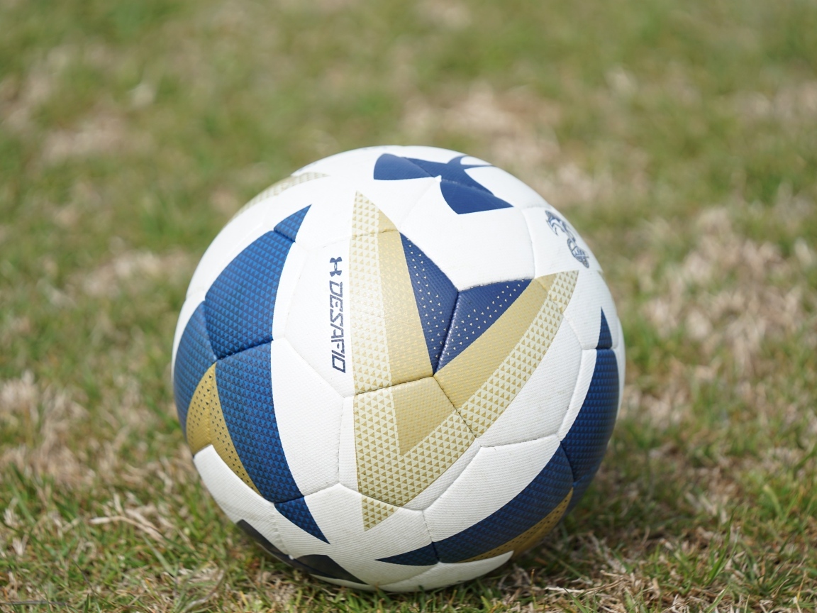 Большой футбольный мяч на поле