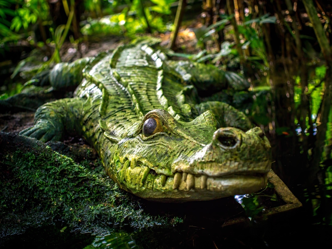 Большой зеленый крокодил у воды