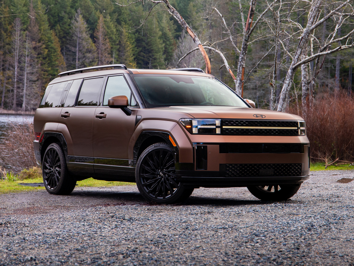 Внедорожник Hyundai Santa Fe Calligraphy 2024 года