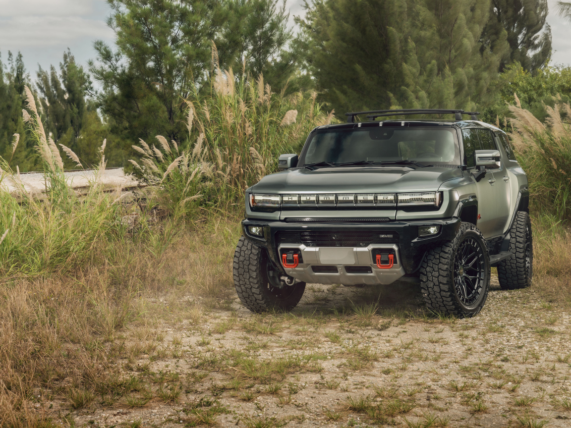 Пикап Hummer EV в зарослях