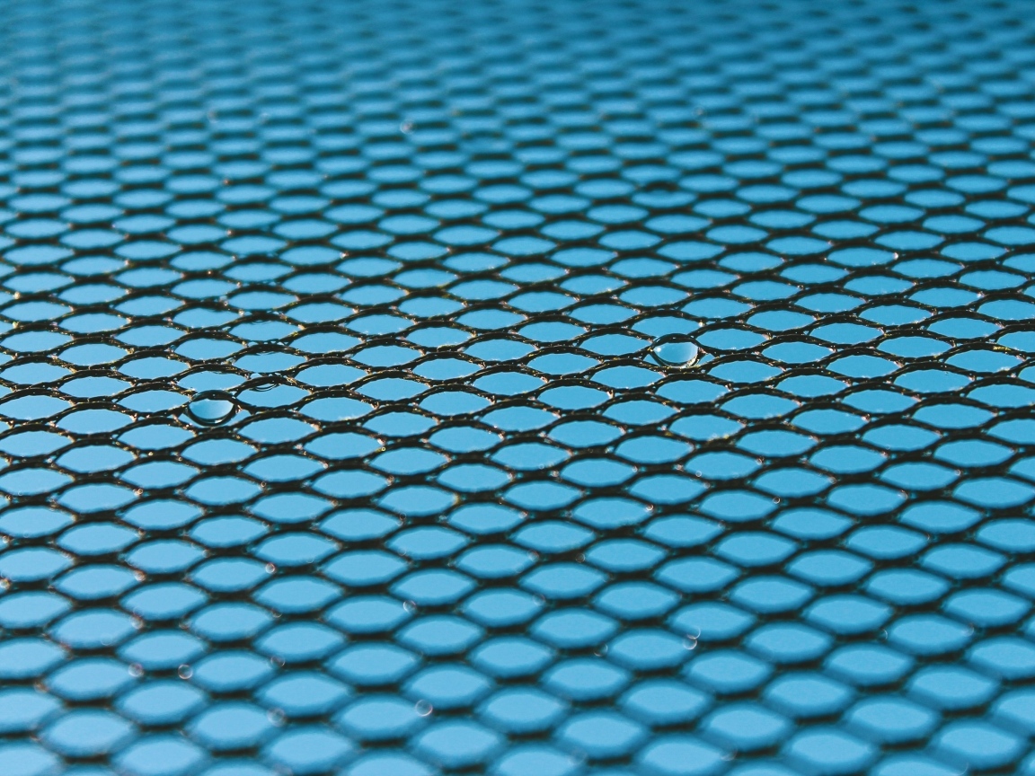 Черная сетка на голубом для фона