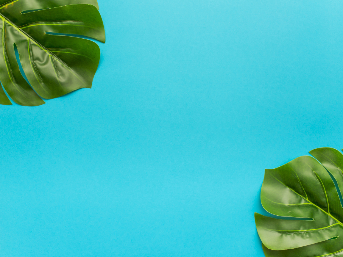 Два зеленых листа на голубом фоне