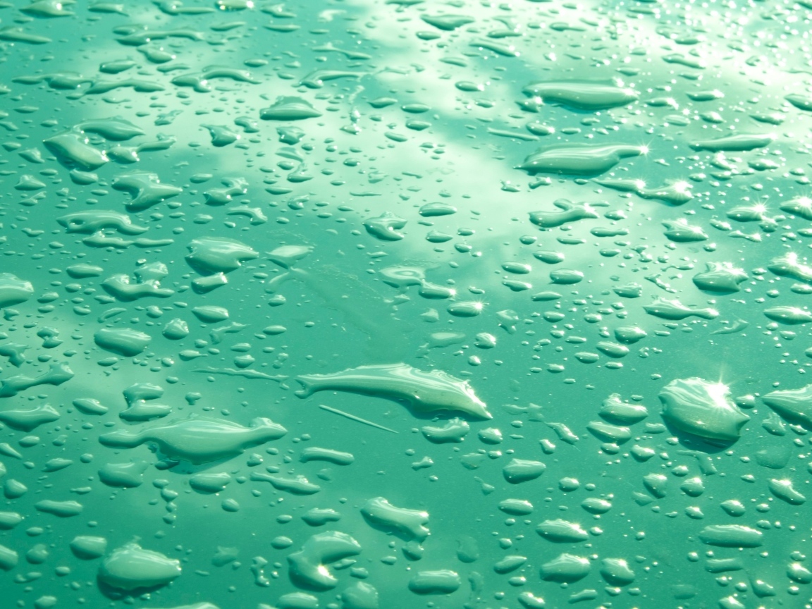 Капли воды на зеленом фоне
