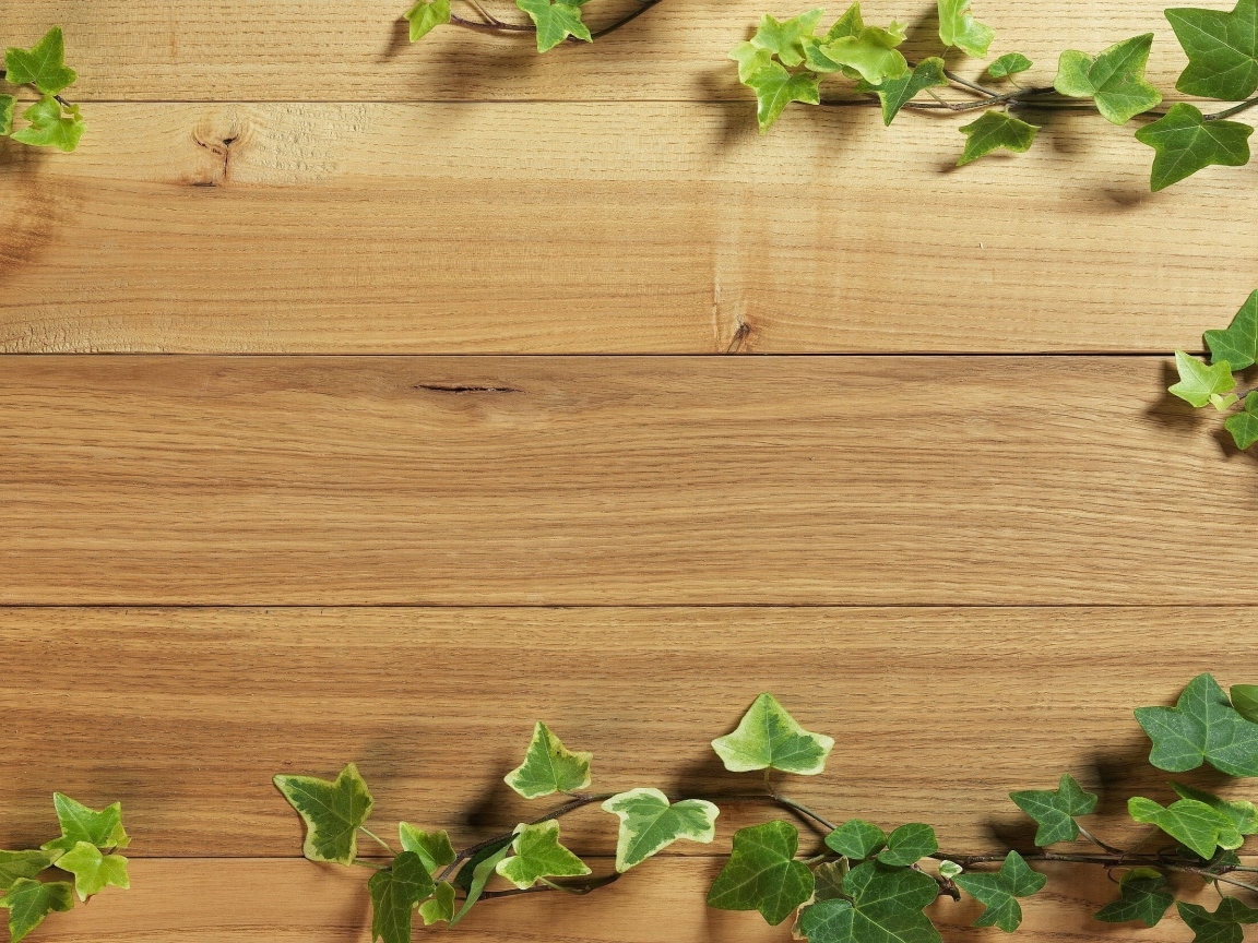 Деревянный фон с листьями плюща