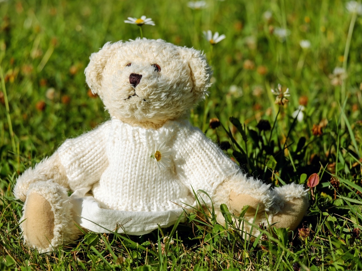 Игрушечный медвежонок в свитере сидит на траве