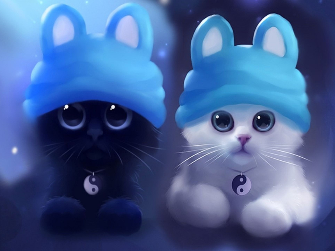 Два котенка инь и янь в шапках