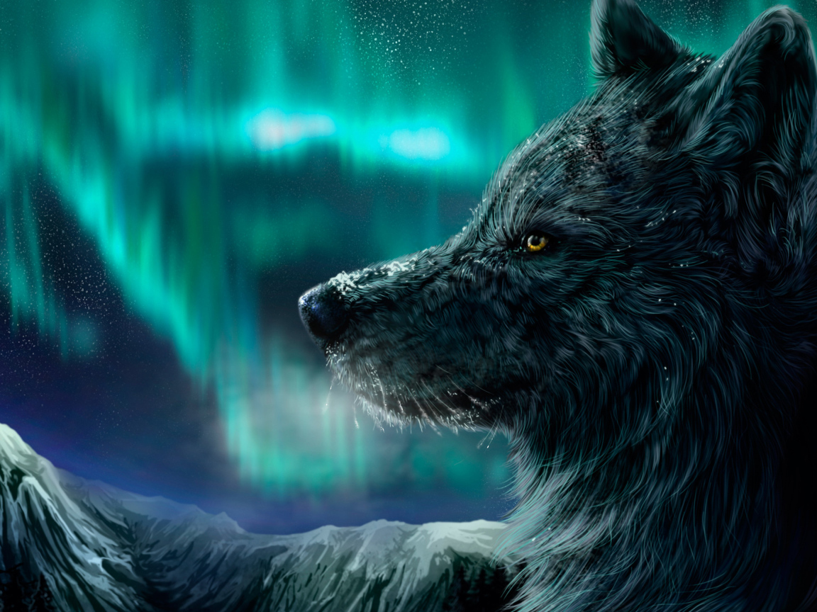Черный фантастический волк на фоне полярного сияния