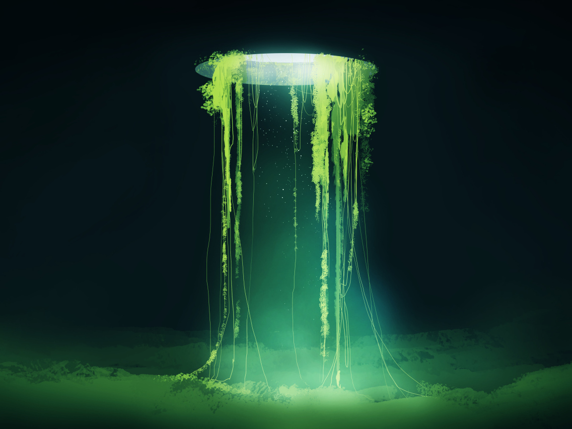 Растения растут из дыры в небе