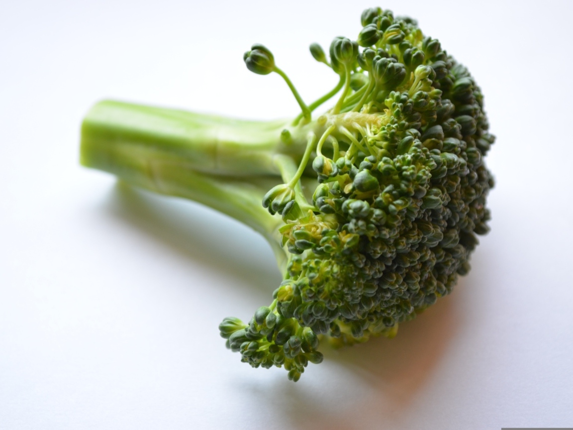 Свежее зеленое брокколи на сером фоне