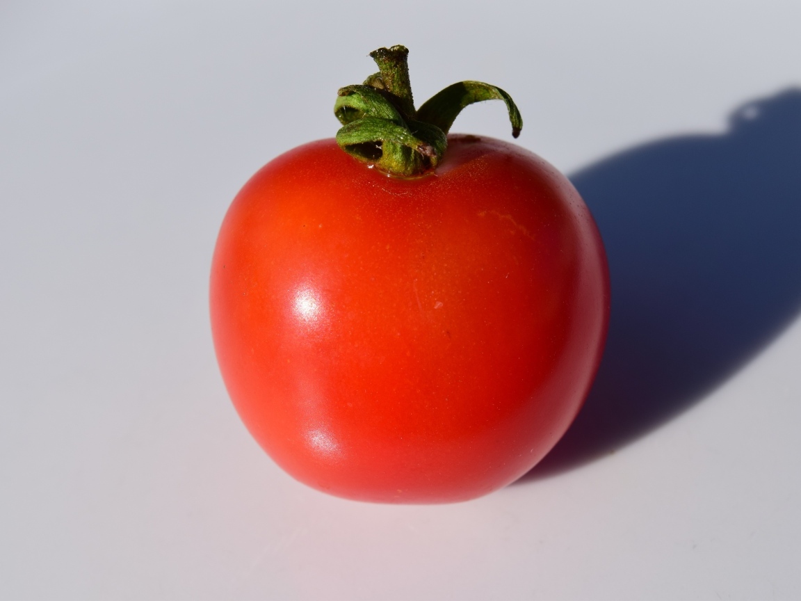Большой красный помидор на сером фоне