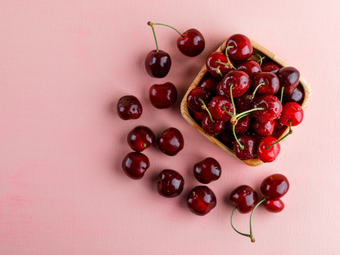 Спелые сладкие красные черешни на розовом фоне