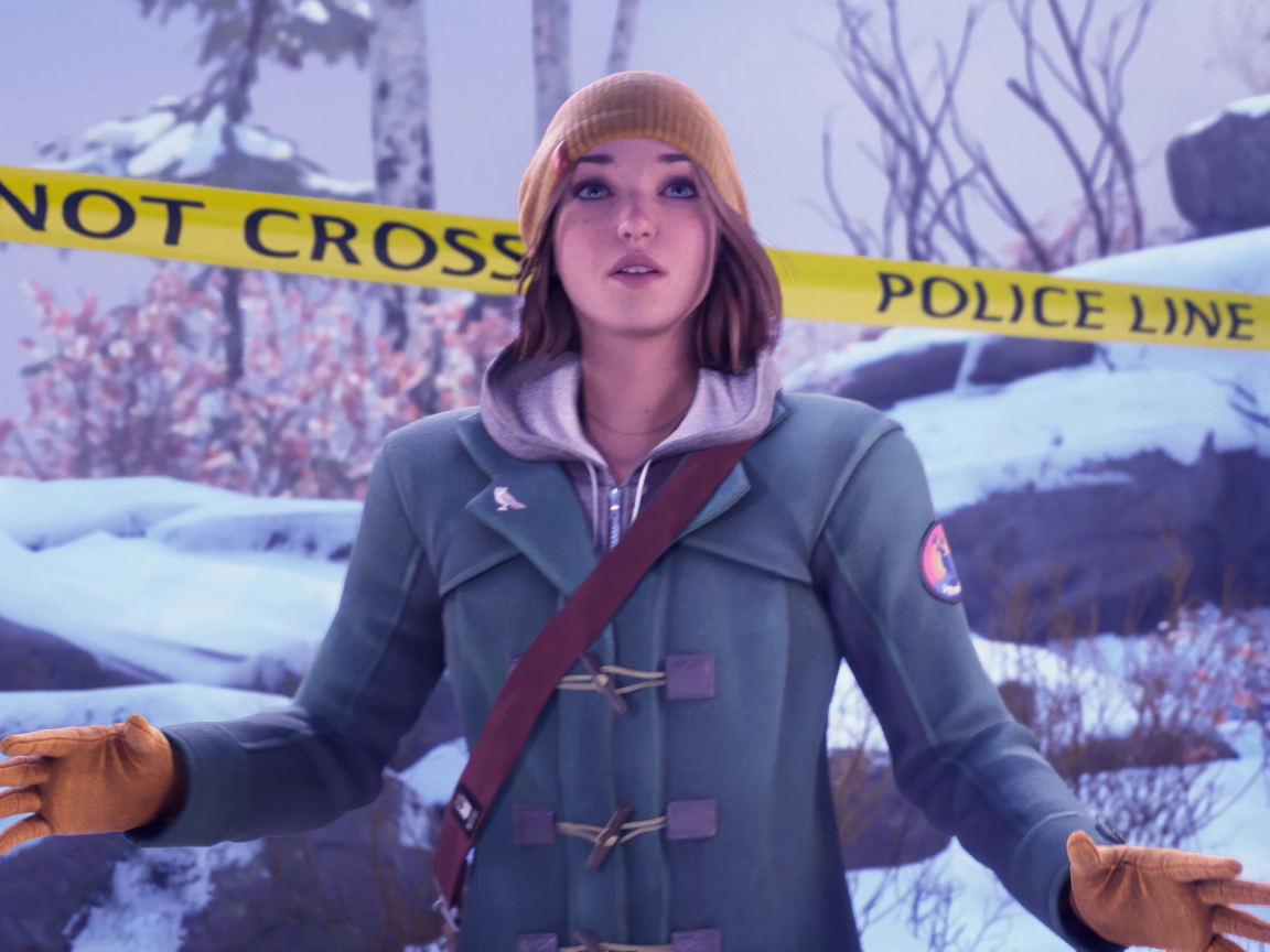 Компьютерная игра Life is Strange: Double Exposure, 2024