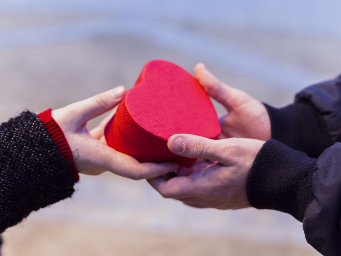 Пара держит небольшую подарочную коробку в форме сердца