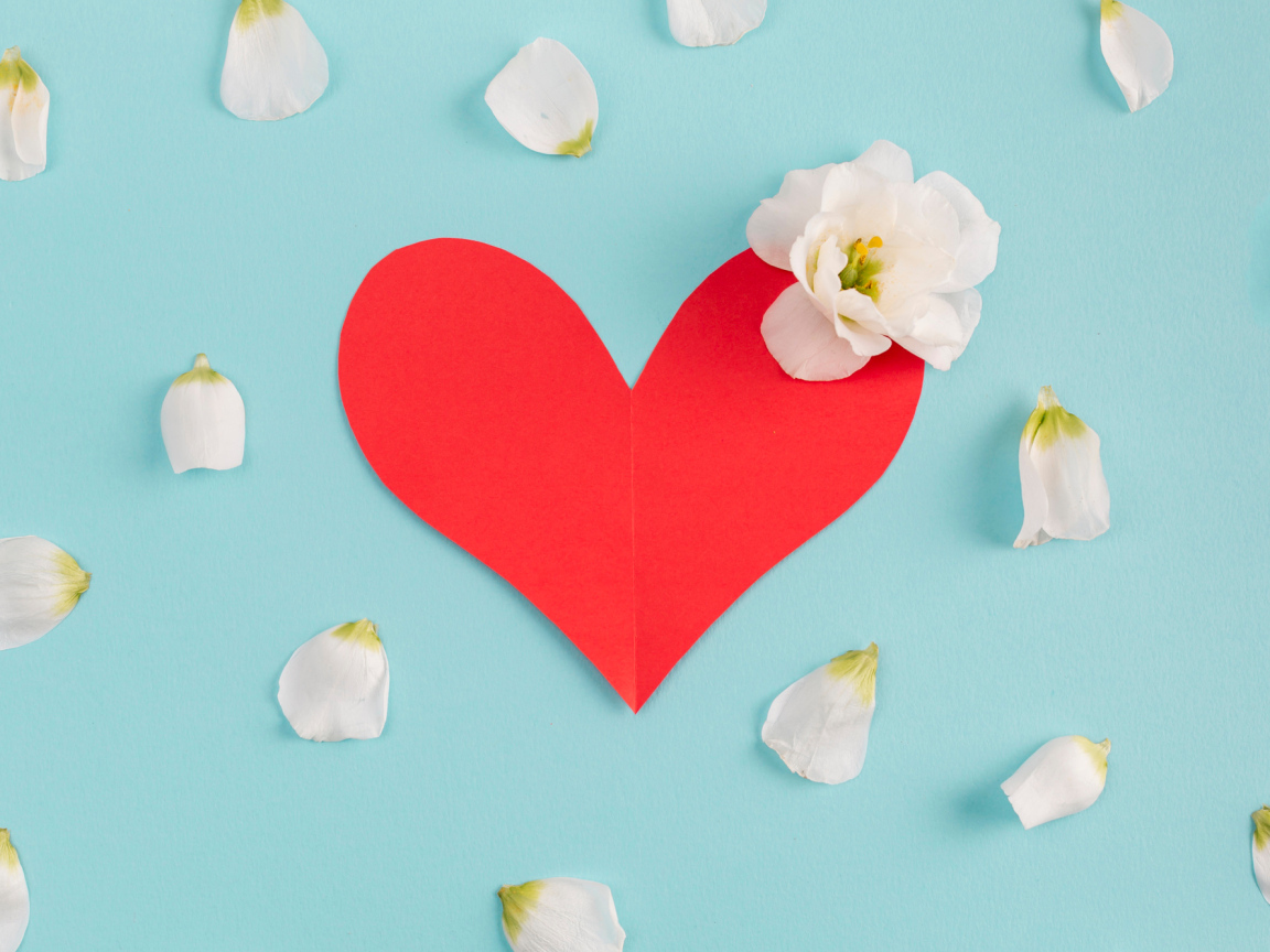 Красное сердце с белыми лепестками на голубом фоне