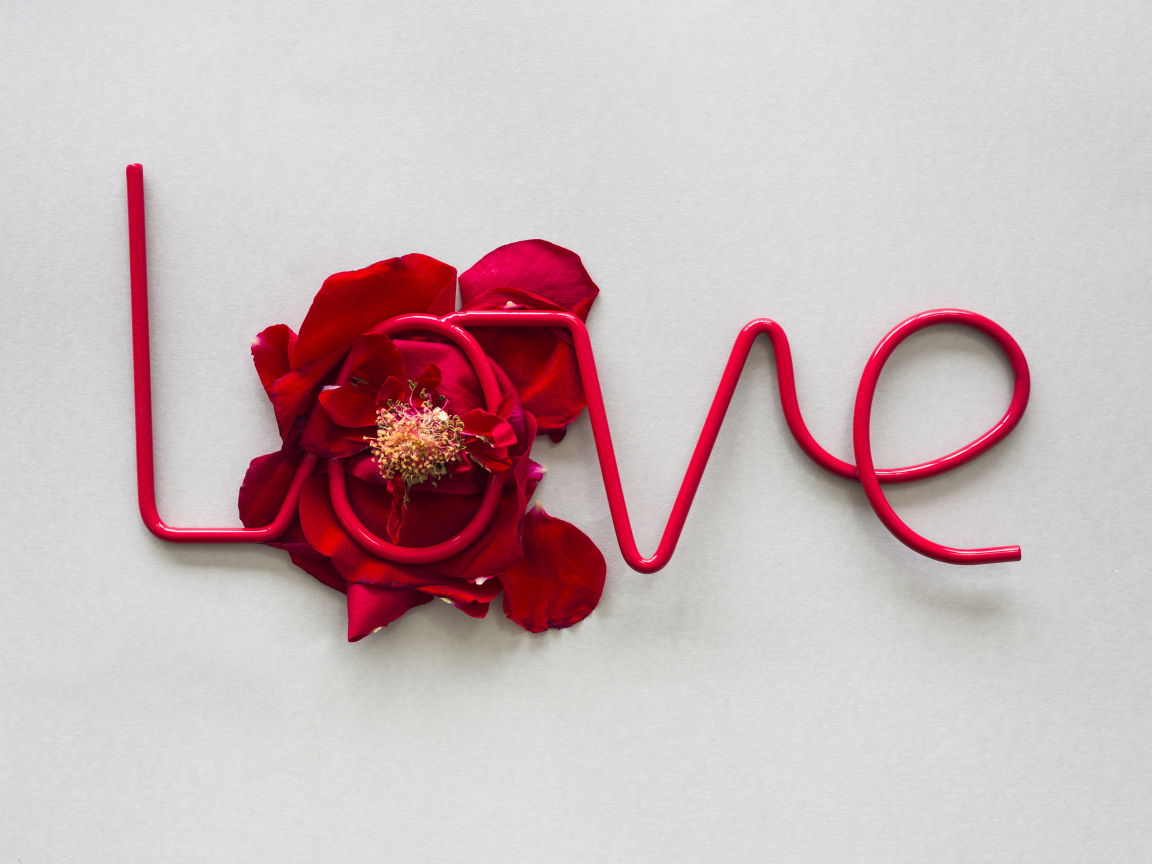 Надпись любовь на сером фоне с цветком 