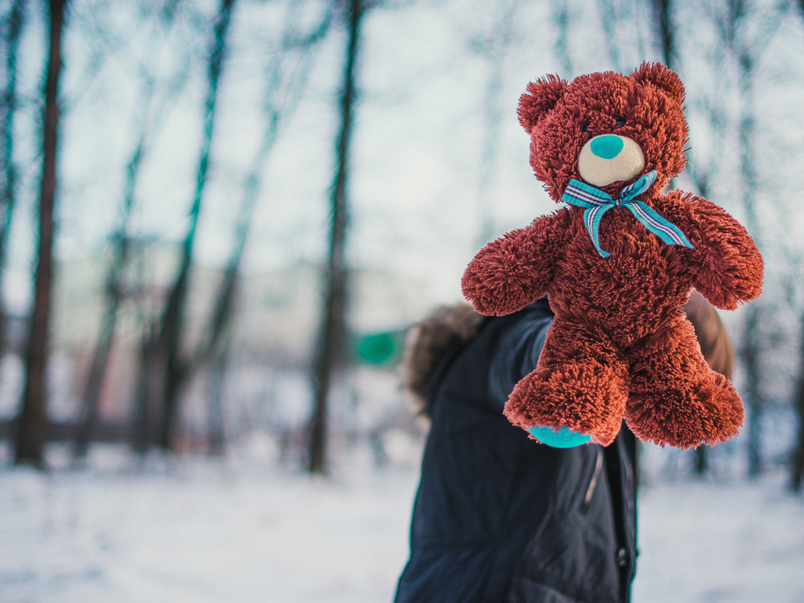 Плюшевый медвежонок Тедди в руках у парня зимой