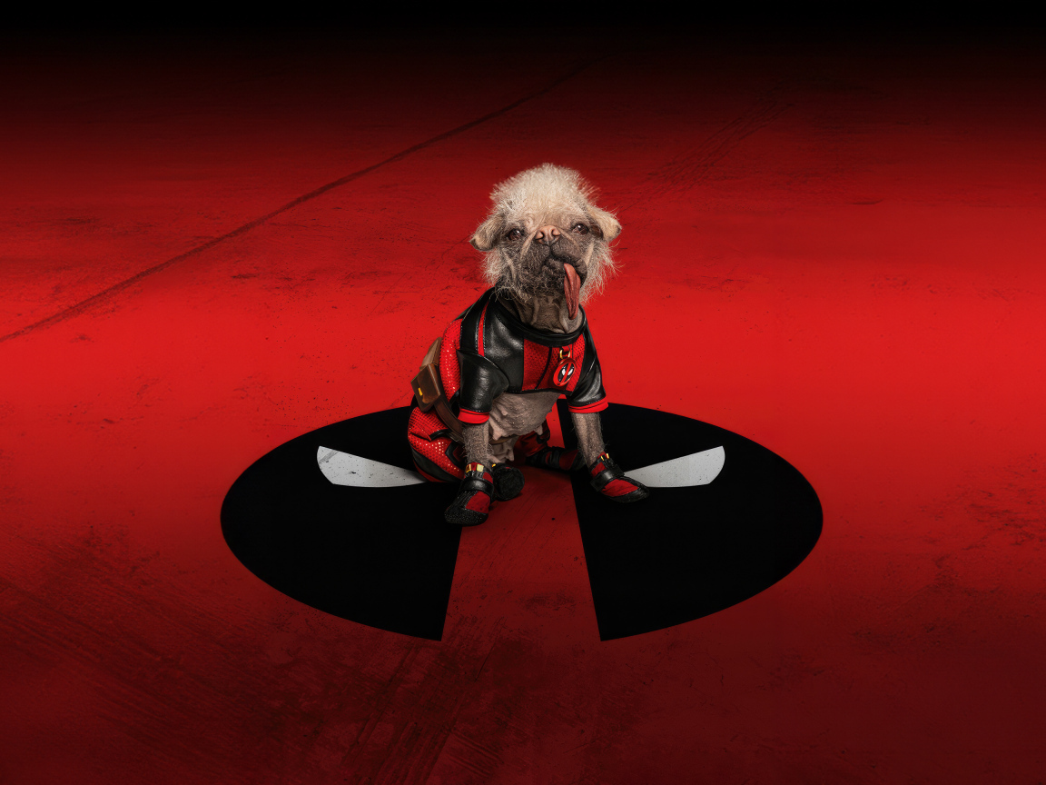 Собака на красном фоне фильм Дэдпул и Росомаха 2024